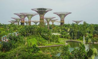 Highlights of Singapore day trip
