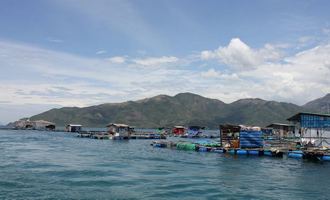 Ba Ria & Binh Chau Hot Spring