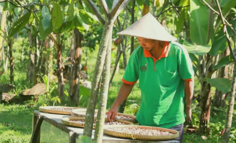 Cau Chocolate and Farming Tour 