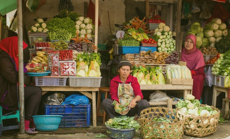 The Heartland of Bali   